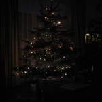Christmas Tree in the dark