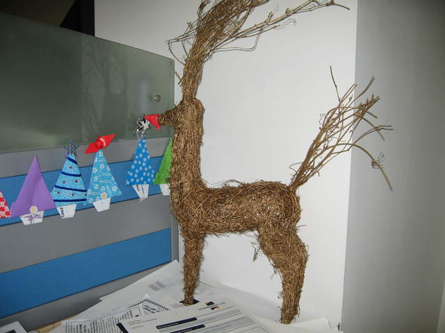 Rudolph the Red Nose Mouflon (Thanks Emily)