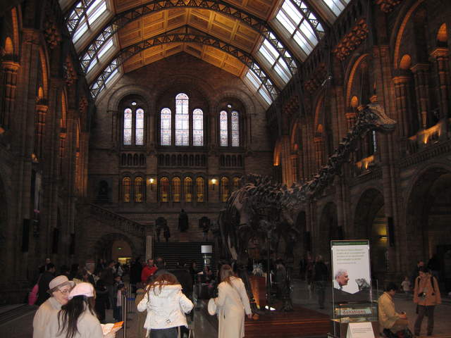 The Central Hall in the Life Galleries