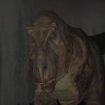 T-Rex