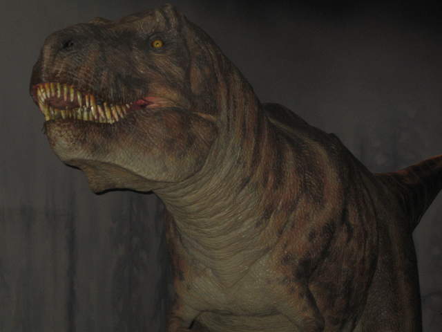 T-Rex