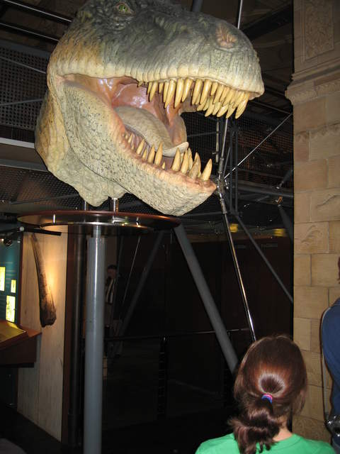Ali admiring a dinosaur head