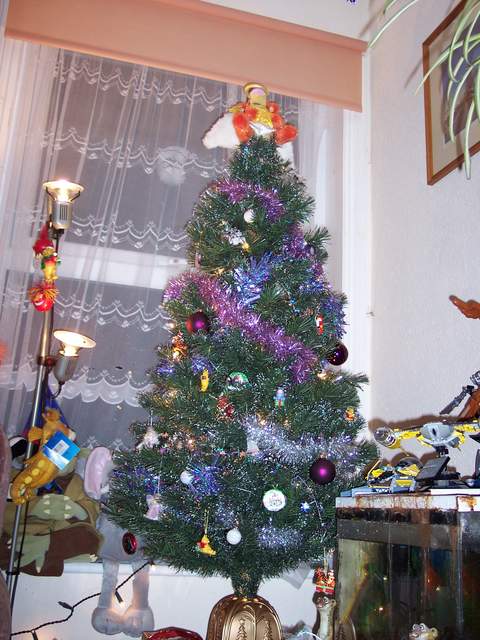 100_1408.jpg