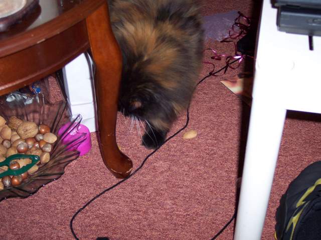 100_1372.jpg