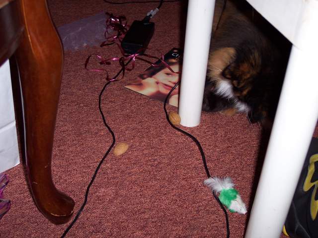 100_1373.jpg
