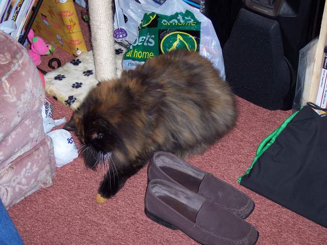 100_1374.jpg