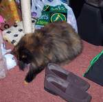 100_1374.jpg