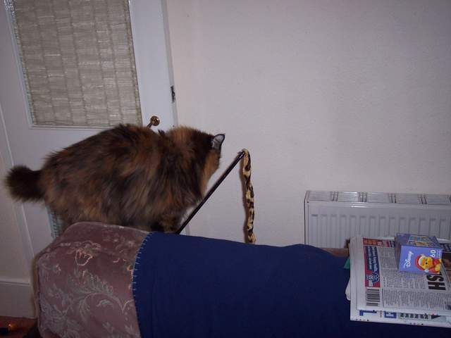 100_1375.jpg
