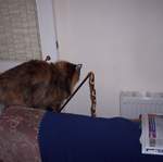 100_1375.jpg