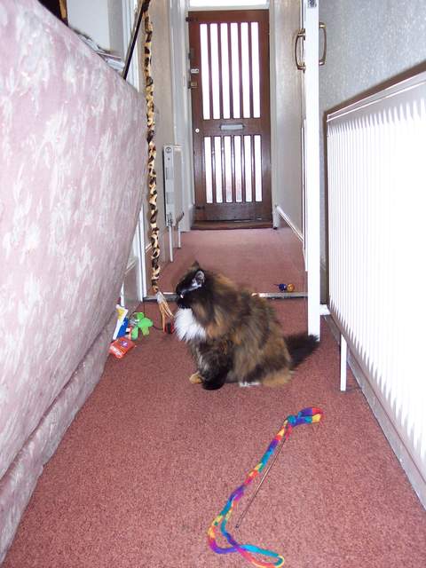 100_1376.jpg