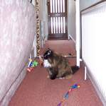 100_1376.jpg