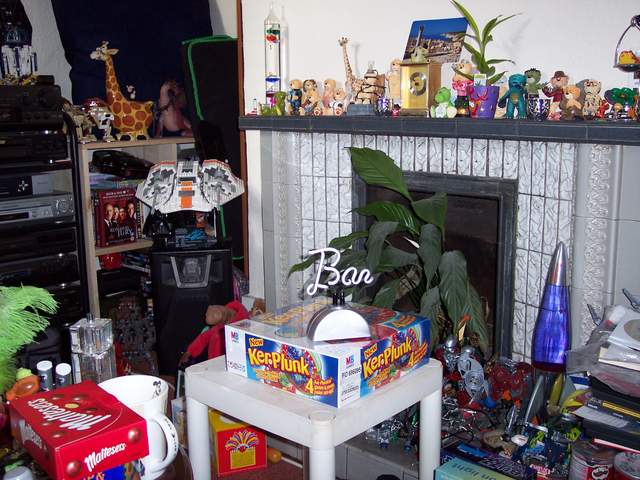 100_1383.jpg