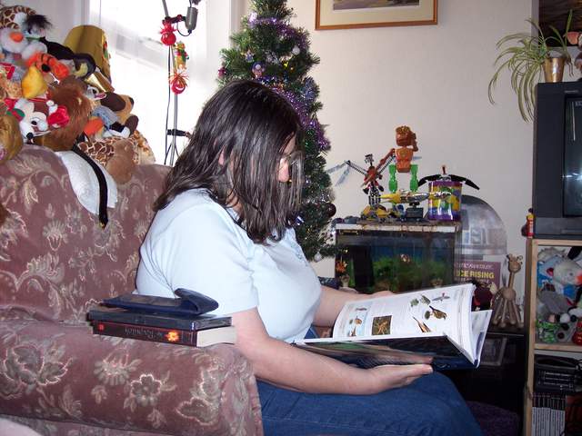 100_1385.jpg