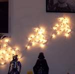 100_1399.jpg