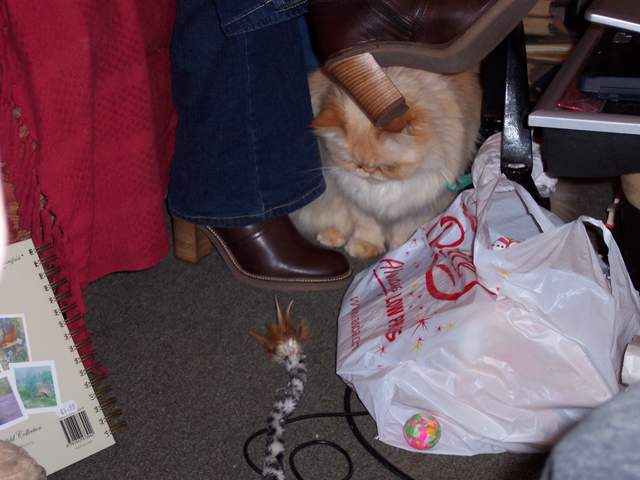 100_1413.jpg