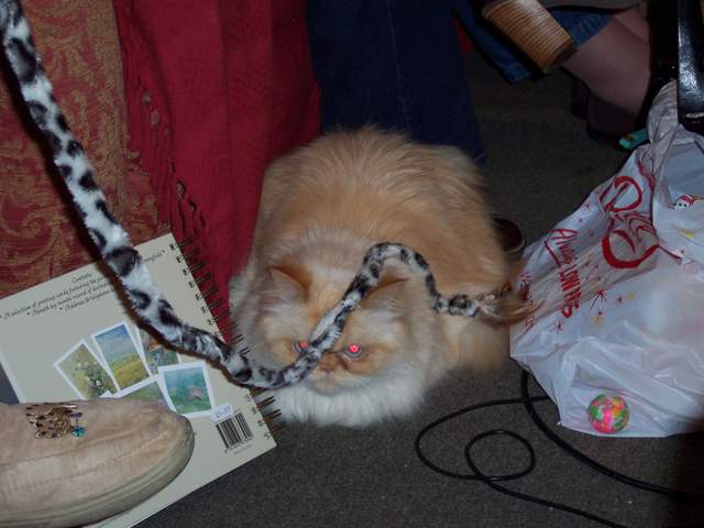 100_1415.jpg