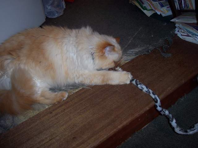 100_1416.jpg