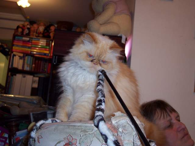 100_1422.jpg