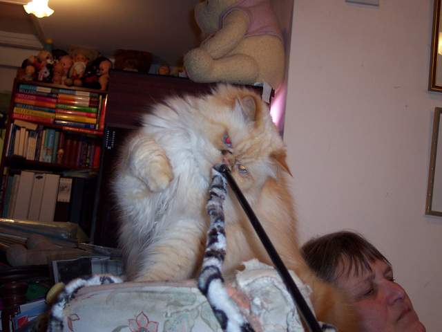 100_1423.jpg