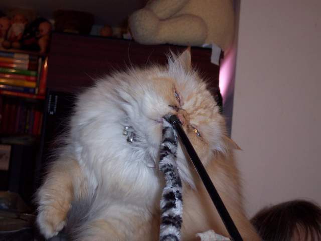 100_1424.jpg
