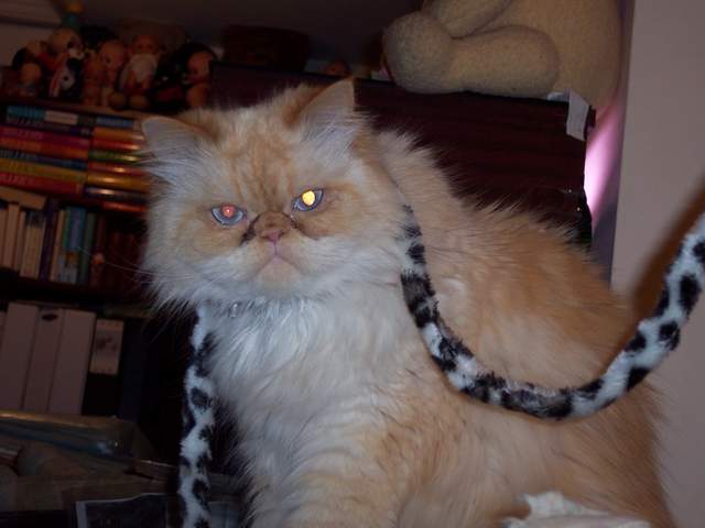 100_1426.jpg