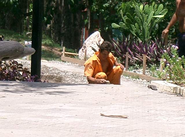 CIMG0065.JPG