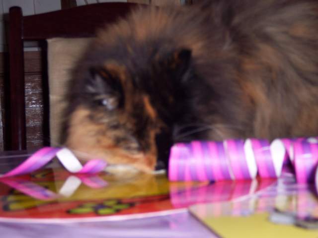 100_1460.jpg