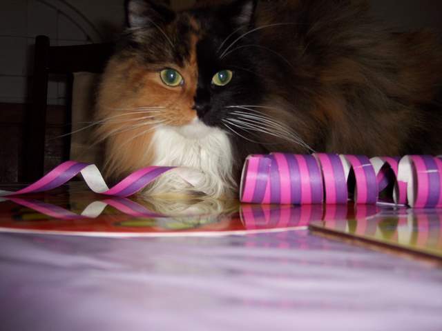 100_1461.jpg