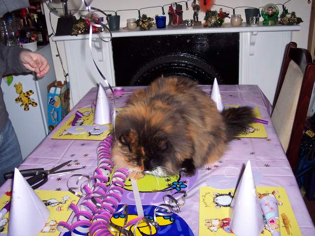 100_1462.jpg