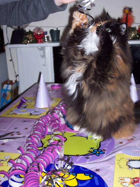 100_1463.jpg