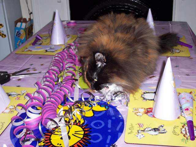 100_1464.jpg