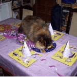 100_1475.mov