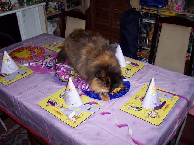 100_1458.jpg