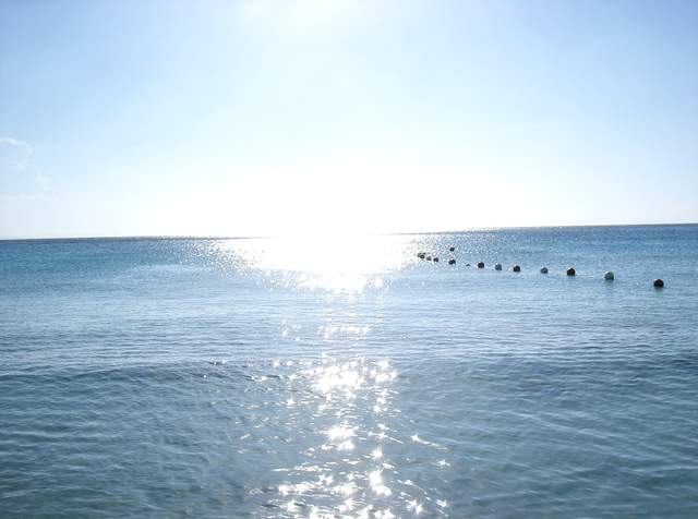 CIMG0098.JPG