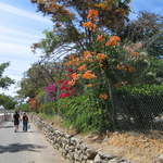 Maspalomas