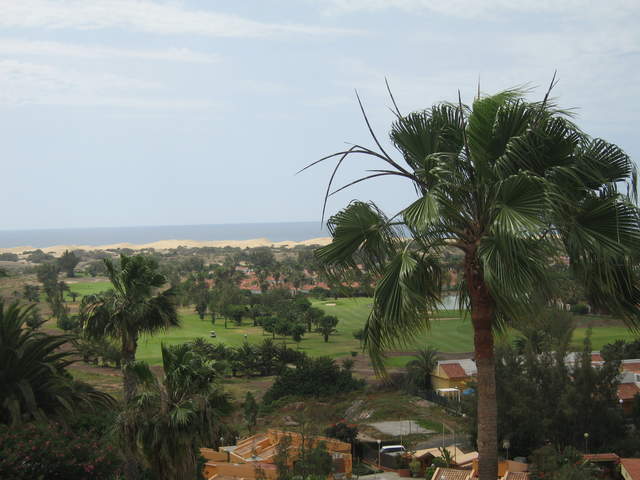 IMG_0060.JPG