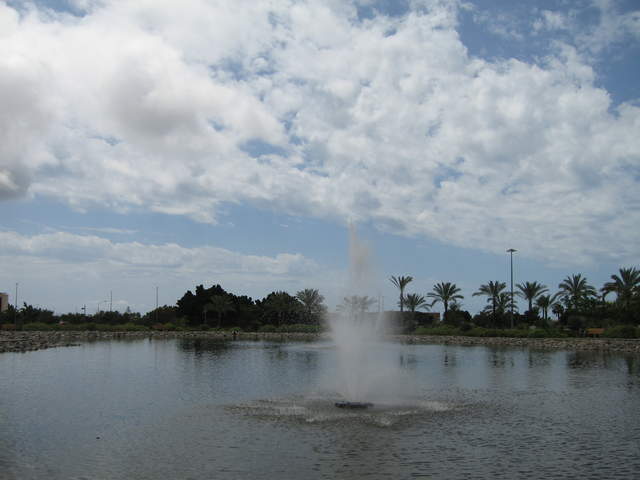 IMG_0113.JPG