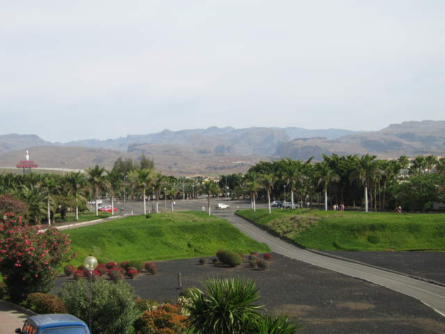 IMG_1115.JPG