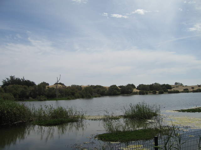IMG_1129.JPG