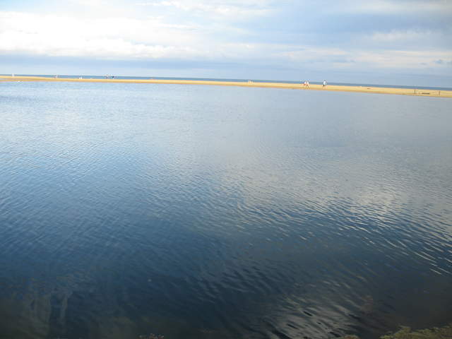 IMG_1174.JPG
