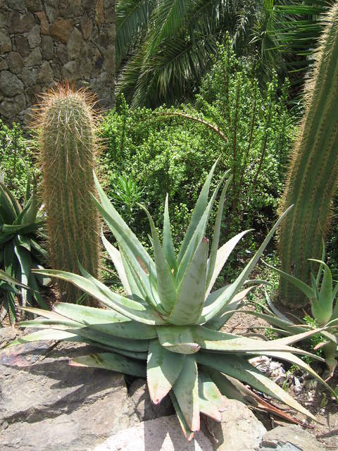 IMG_1275.JPG
