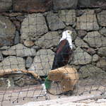 IMG_1278.JPG