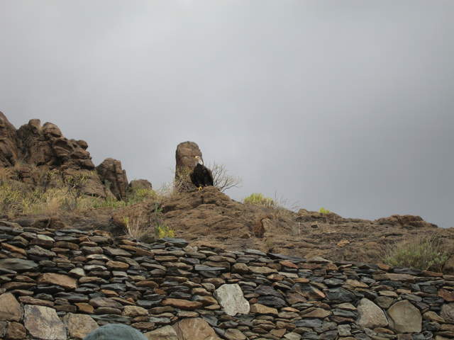 IMG_1295.JPG