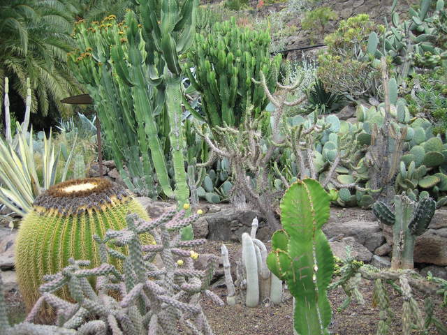IMG_1303.JPG