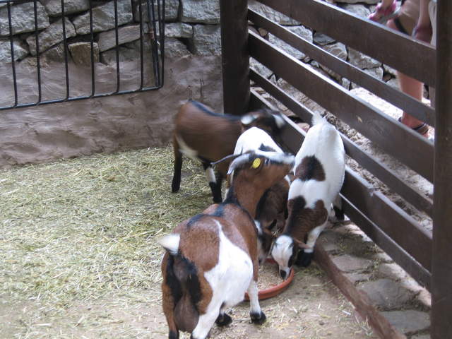 IMG_1315.JPG