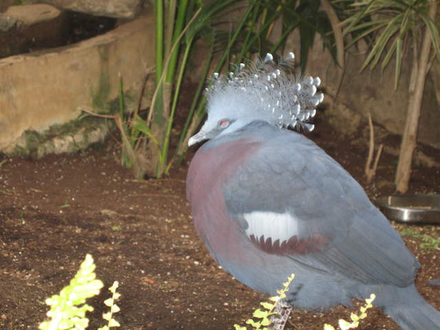 IMG_1318.JPG