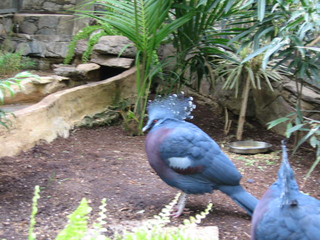 IMG_1320.JPG
