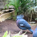 IMG_1320.JPG