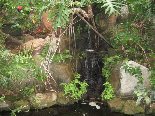 IMG_1323.JPG