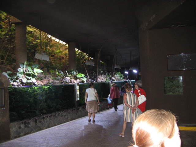 IMG_1329.JPG